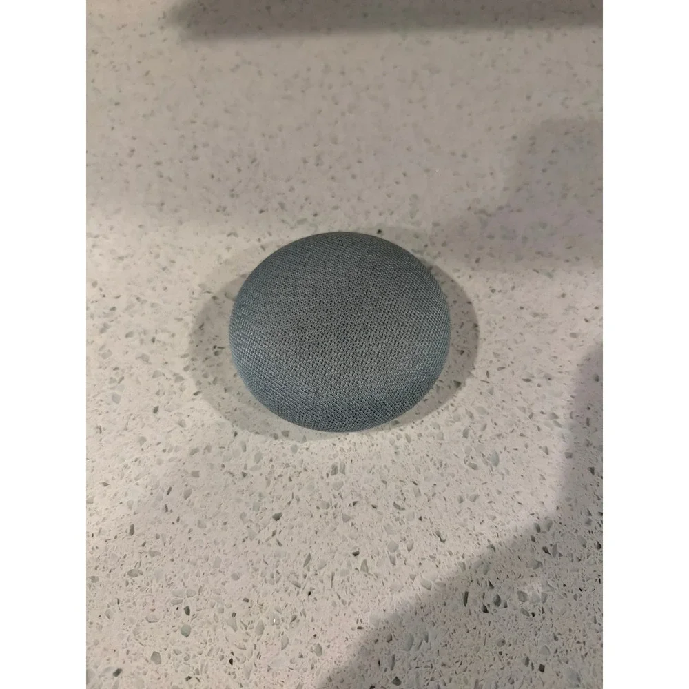 google home model